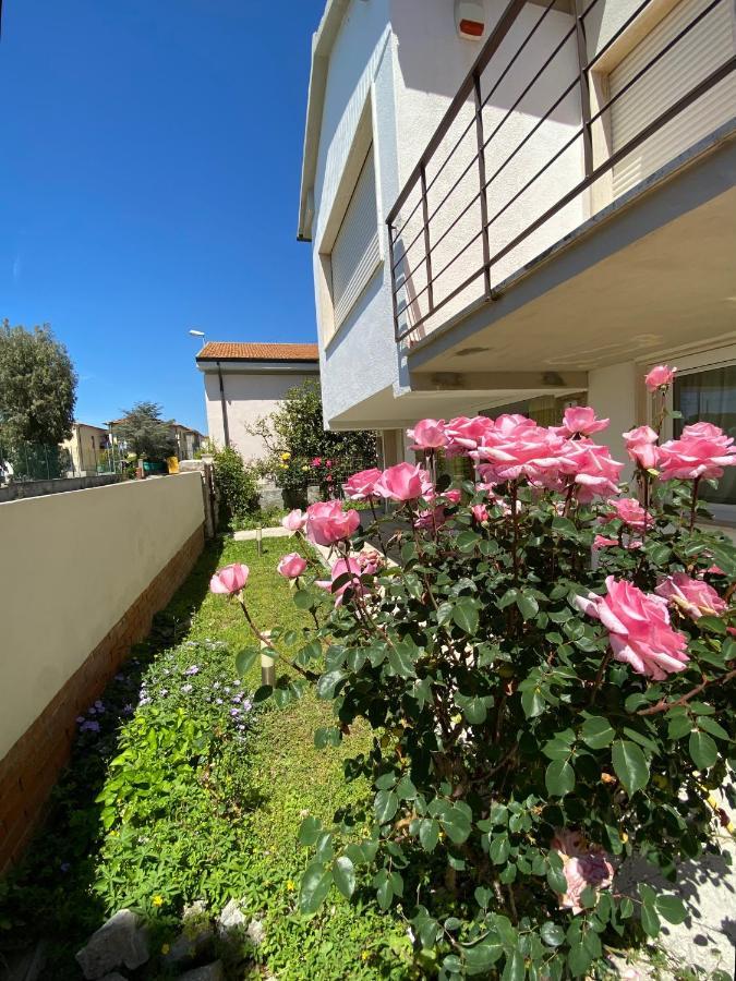 Casa Summer Cecina  Exteriör bild