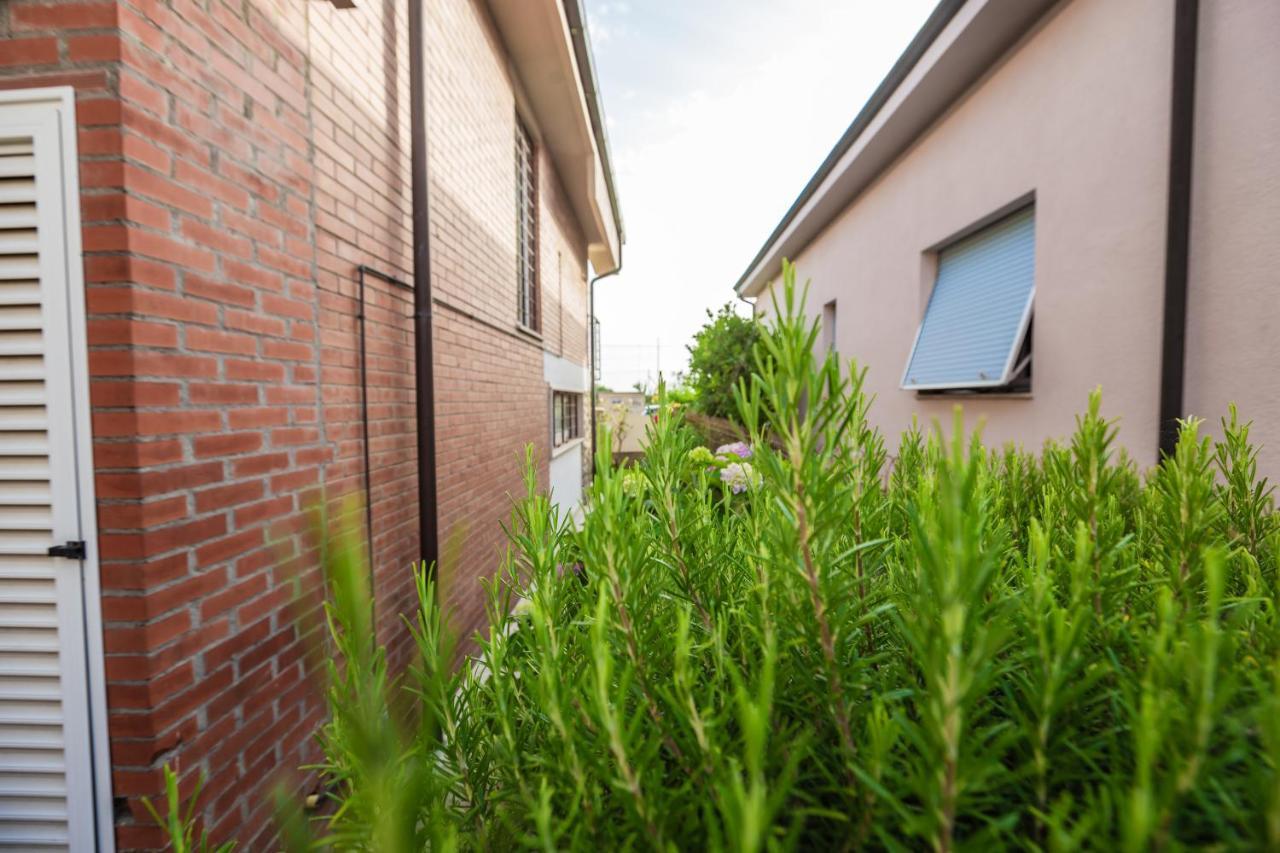 Casa Summer Cecina  Exteriör bild